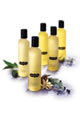 Huiles et Baumes Huiles de Massage Botaniques