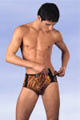 Lingerie Homme Boxer Tigre