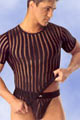 Ensemble Bandes & String