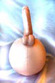 EZ Rider Ballon