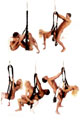 Love Swing