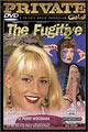 The Fugitive 2